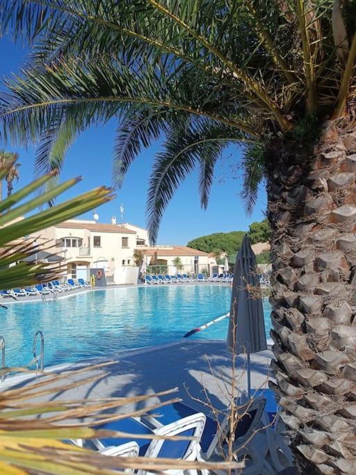 Studio Renove Dans Residence De Vacances Avec Grande Piscine Chauffee, Parking Et Terrasse 阿格德 外观 照片