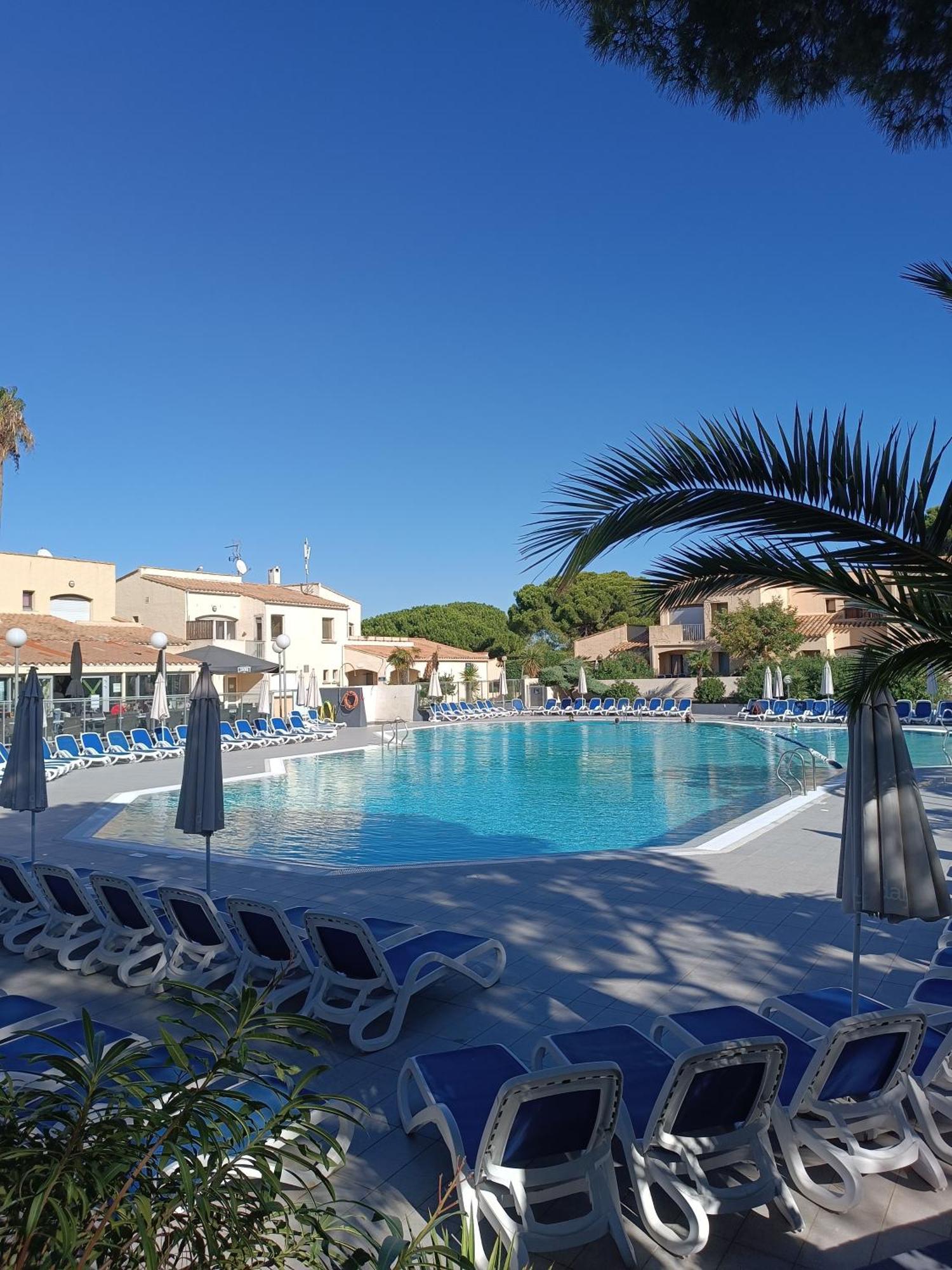 Studio Renove Dans Residence De Vacances Avec Grande Piscine Chauffee, Parking Et Terrasse 阿格德 外观 照片
