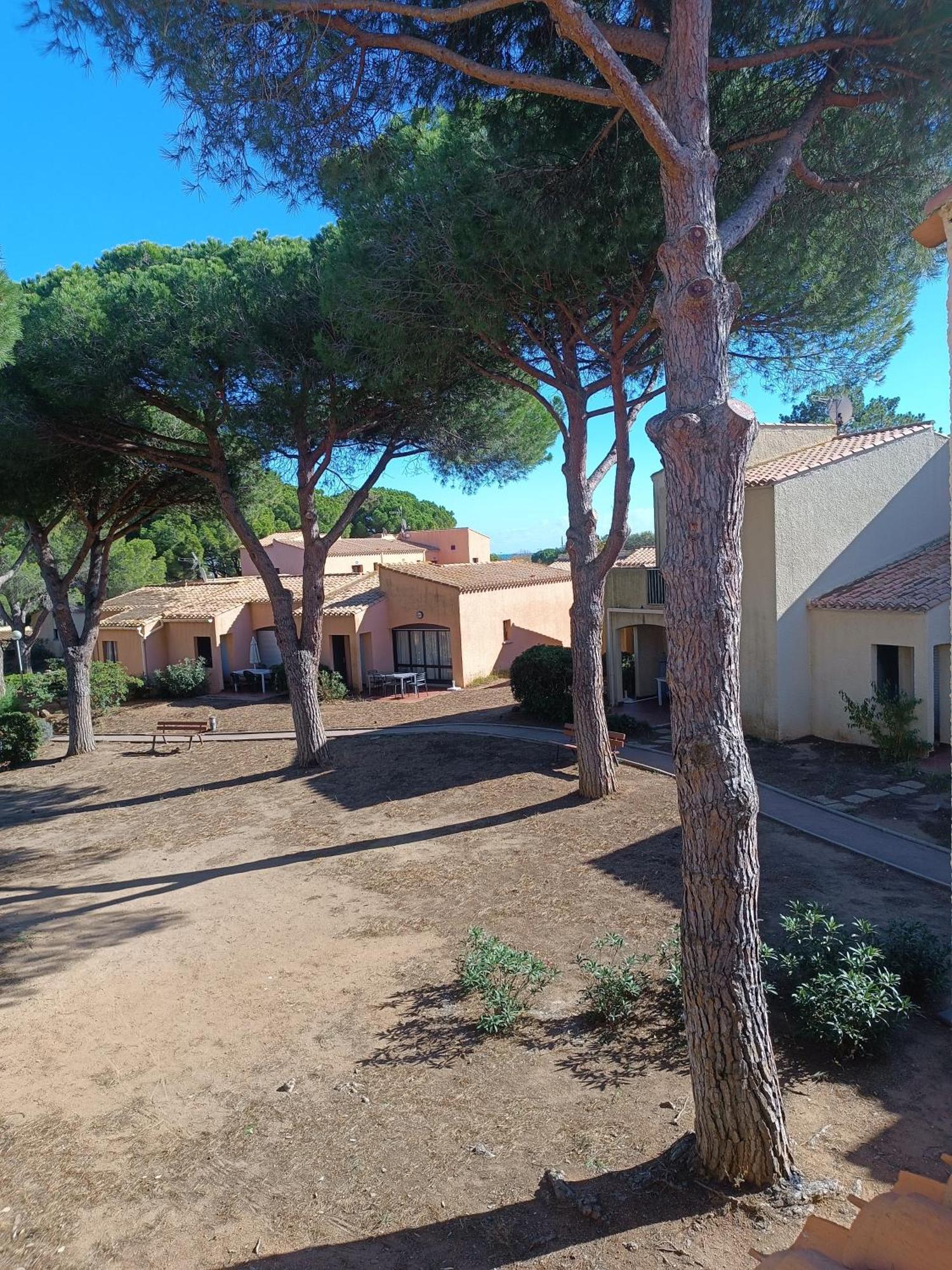 Studio Renove Dans Residence De Vacances Avec Grande Piscine Chauffee, Parking Et Terrasse 阿格德 外观 照片